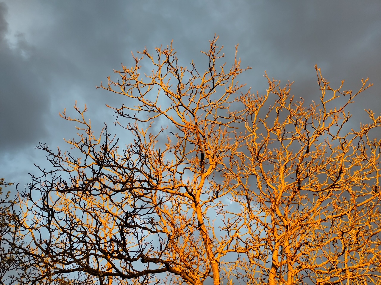 Zen.nl, Zen, meditatie, leren mediteren, foto